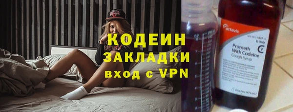 дурь Алексин
