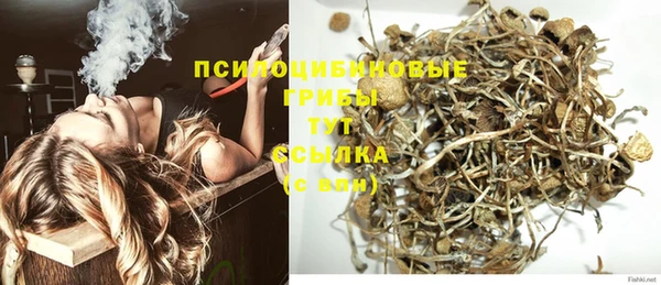 шишки Алзамай