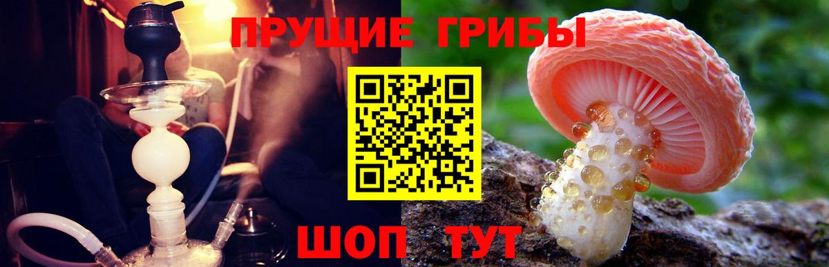 Псилоцибиновые грибы GOLDEN TEACHER Красноярск